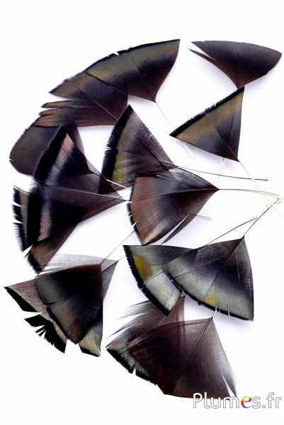 Petali in piume - 6-8 cm x 3-4 cm - naturale